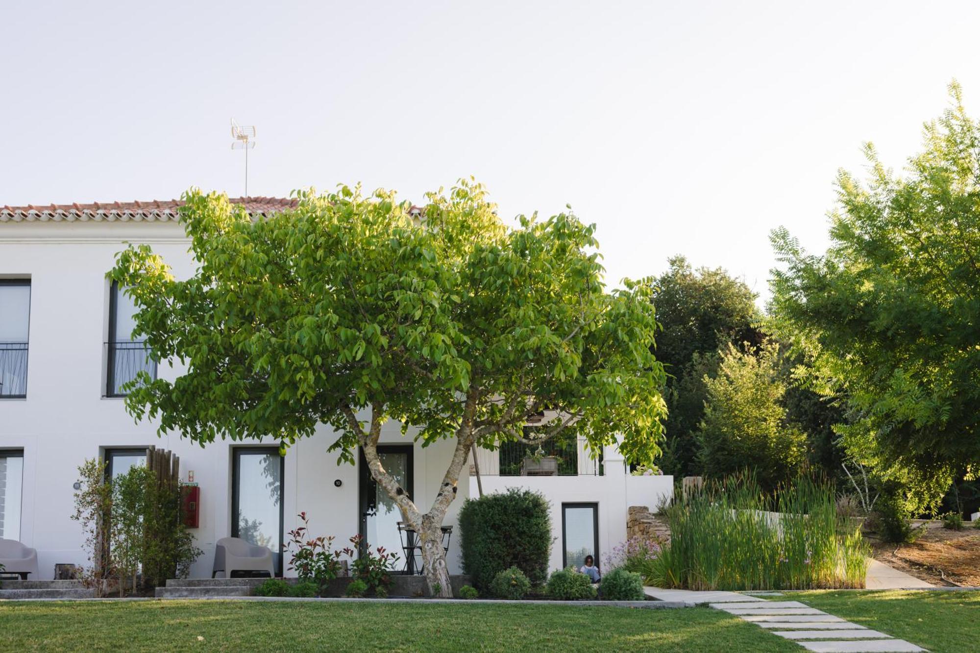 ألينكوير Cambeiros - Guest House المظهر الخارجي الصورة